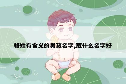 骆姓有含义的男孩名字,取什么名字好