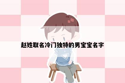 赵姓取名冷门独特的男宝宝名字