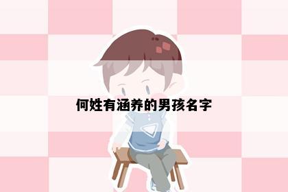 何姓有涵养的男孩名字