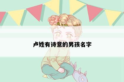 卢姓有诗意的男孩名字