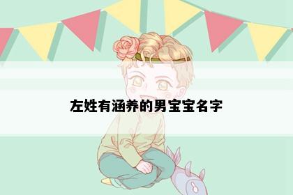 左姓有涵养的男宝宝名字