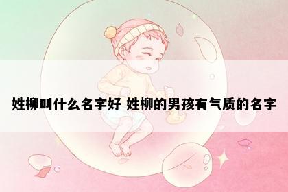 姓柳叫什么名字好 姓柳的男孩有气质的名字