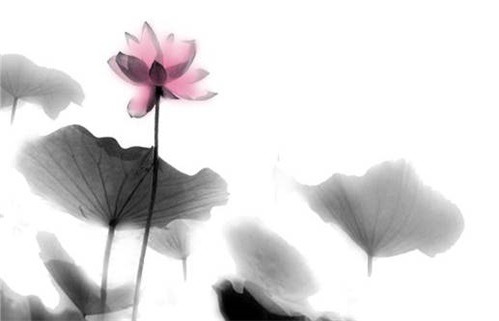 2025年05月05日是动土好日子吗 宜动土吉日查询