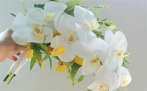 2025年农历五月廿六是结婚好日子吗 今日办婚礼好吗