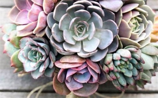 2025年05月11日结婚吉日查询 是办喜事好日子吗