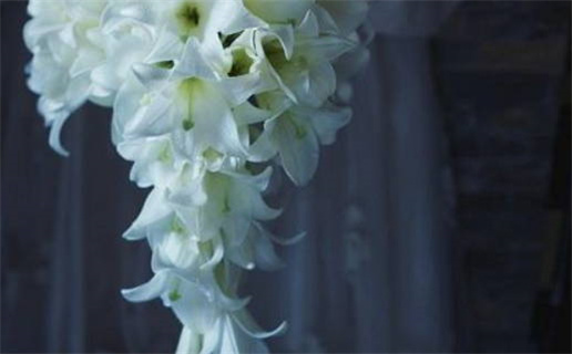 2025年08月31日领证好不好 今日领证好吗