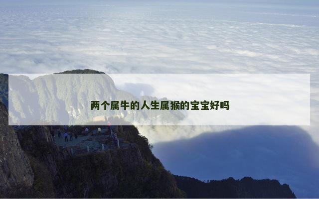 两个属牛的人生属猴的宝宝好吗