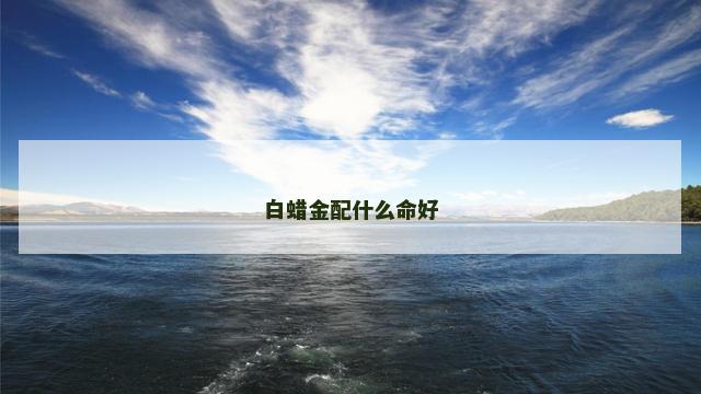 白蜡金配什么命好