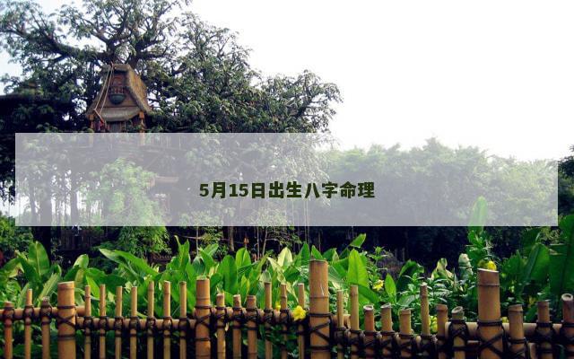 5月15日出生八字命理