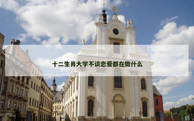 十二生肖大学不谈恋爱都在做什么