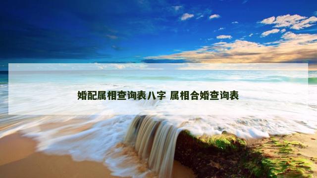 婚配属相查询表八字 属相合婚查询表