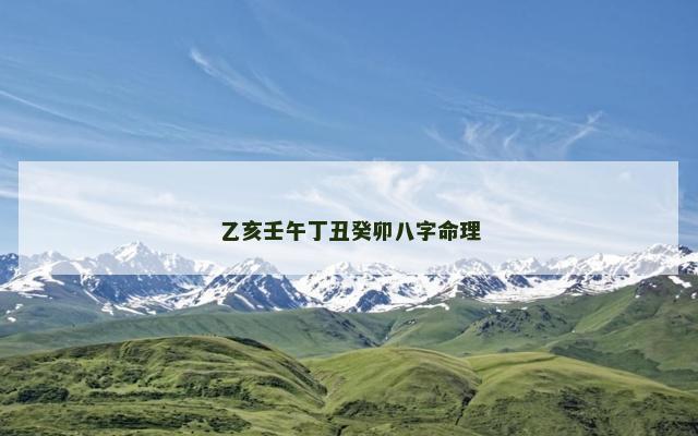 乙亥壬午丁丑癸卯八字命理
