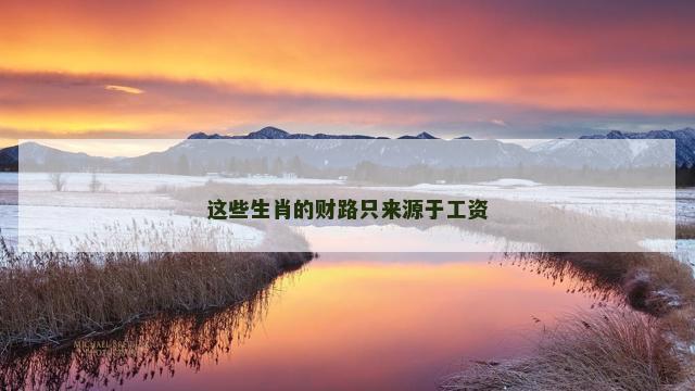 这些生肖的财路只来源于工资