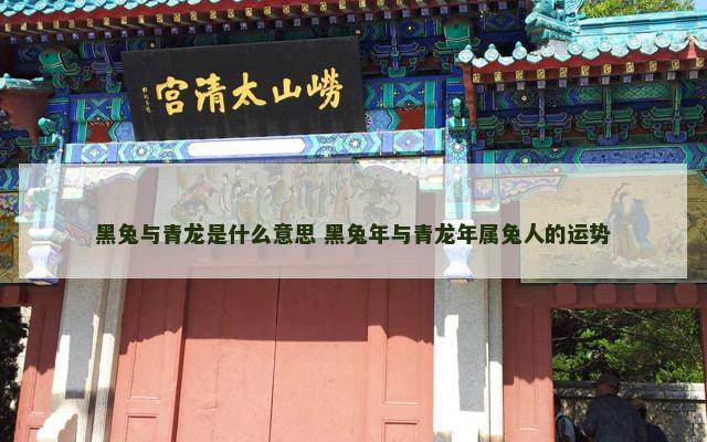 黑兔与青龙是什么意思 黑兔年与青龙年属兔人的运势