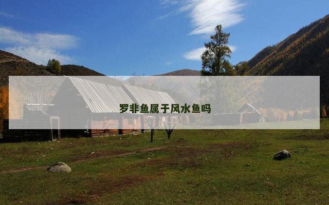 罗非鱼属于风水鱼吗