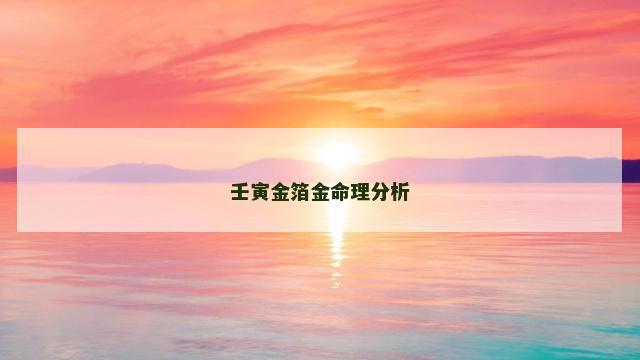 壬寅金箔金命理分析