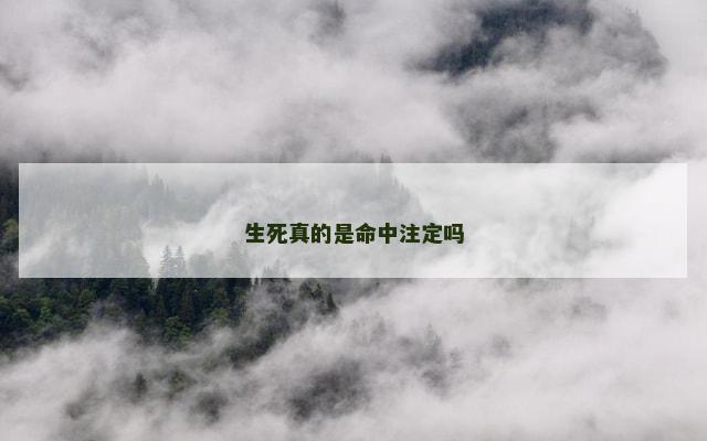 生死真的是命中注定吗