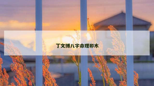 丁文博八字命理卯木