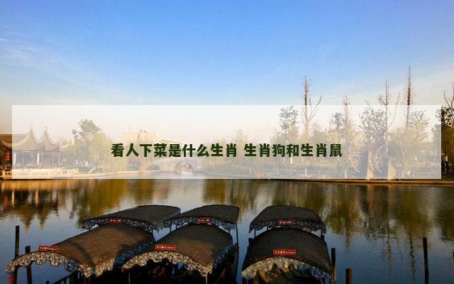 看人下菜是什么生肖 生肖狗和生肖鼠