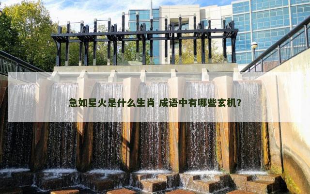 急如星火是什么生肖 成语中有哪些玄机？