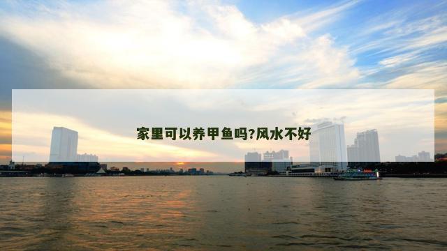 家里可以养甲鱼吗?风水不好