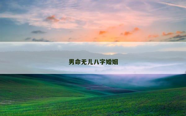 男命无儿八字婚姻