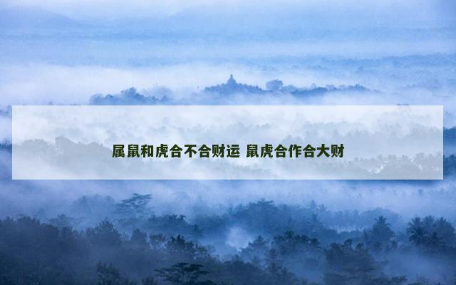 属鼠和虎合不合财运 鼠虎合作合大财