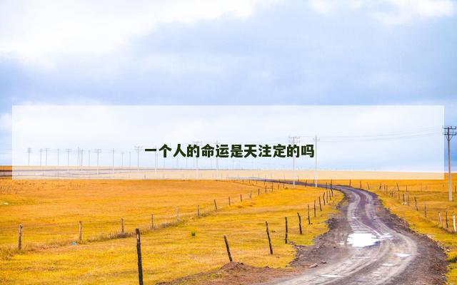 一个人的命运是天注定的吗 一个人的命运是天注定的吗