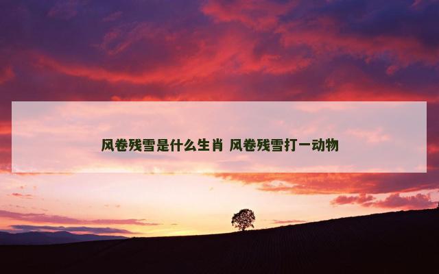 风卷残雪是什么生肖 风卷残雪打一动物 风卷残雪是什么生肖 风卷残雪打一动物