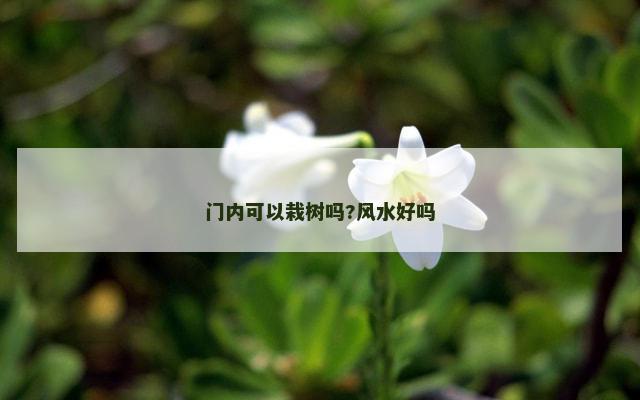 门内可以栽树吗?风水好吗