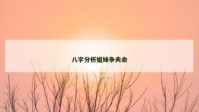 八字分析姐妹争夫命