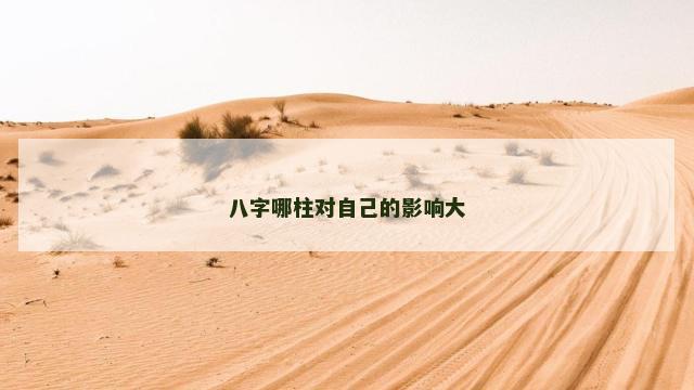 八字哪柱对自己的影响大
