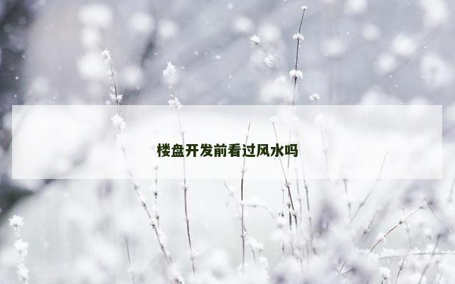 楼盘开发前看过风水吗