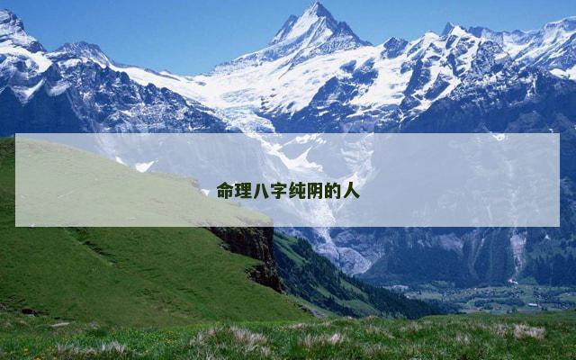 命理八字纯阴的人