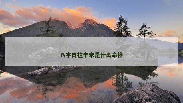 八字日柱辛未是什么命格