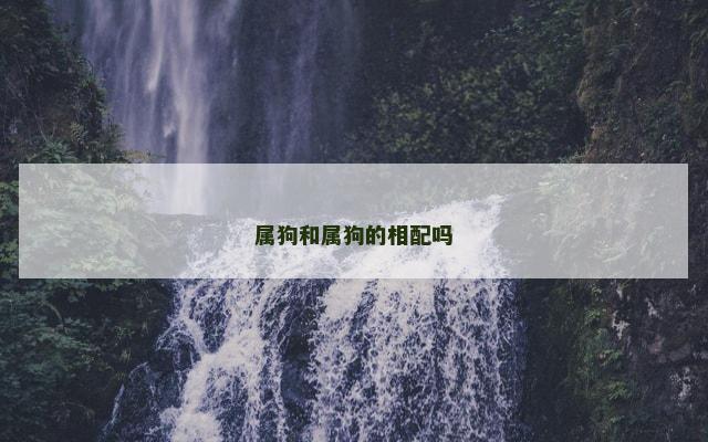 属狗和属狗的相配吗