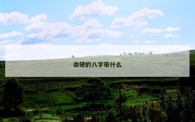 命硬的八字带什么
