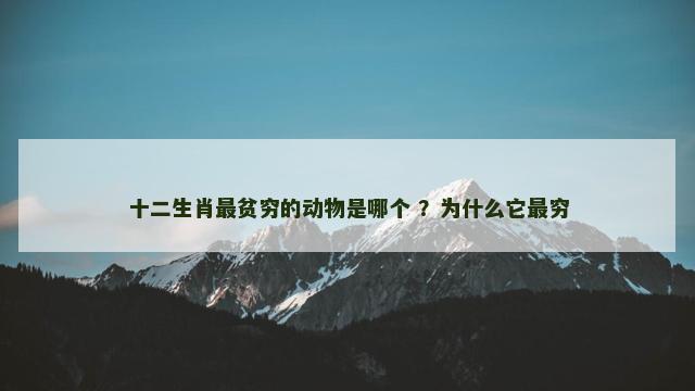 十二生肖最贫穷的动物是哪个 ？为什么它最穷