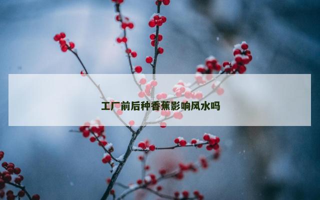 工厂前后种香蕉影响风水吗