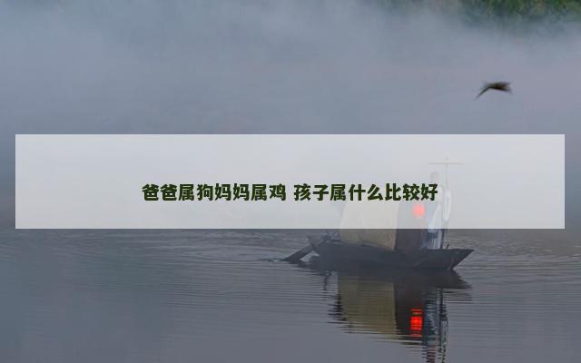 爸爸属狗妈妈属鸡 孩子属什么比较好
