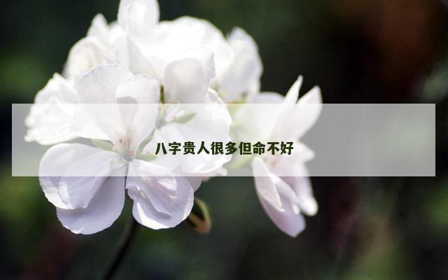 八字贵人很多但命不好