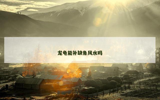 龙龟能补缺角风水吗