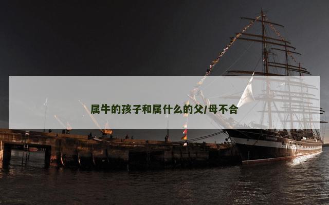 属牛的孩子和属什么的父/母不合
