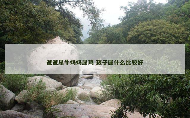 爸爸属牛妈妈属鸡 孩子属什么比较好