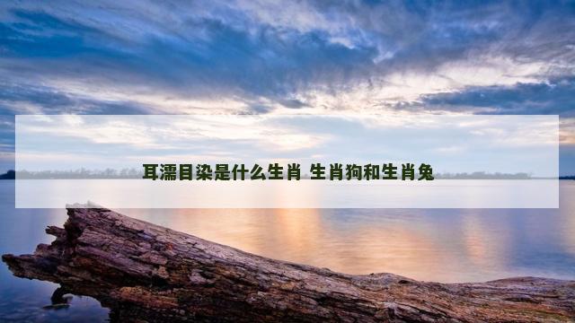 耳濡目染是什么生肖 生肖狗和生肖兔