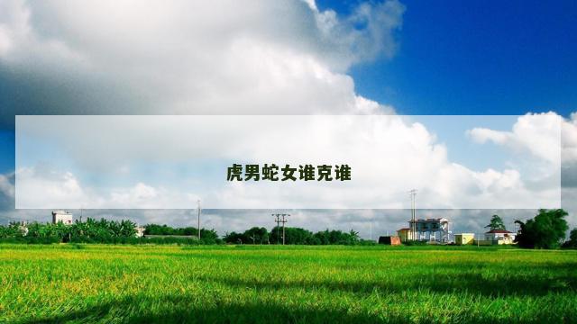 虎男蛇女谁克谁
