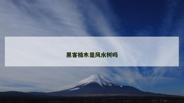 黑客楠木是风水树吗