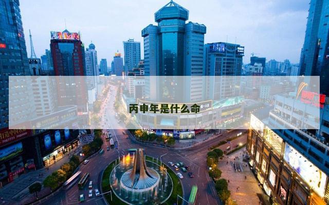 丙申年是什么命