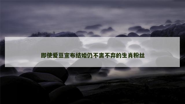 即使爱豆宣布结婚仍不离不弃的生肖粉丝