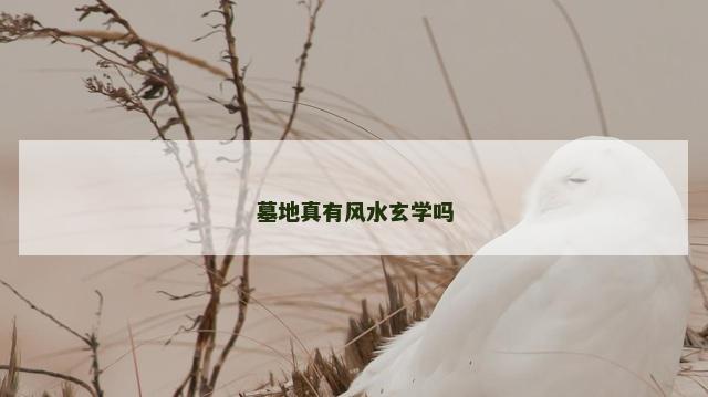 墓地真有风水玄学吗